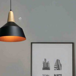 HANGING LIGHT ART-230-1